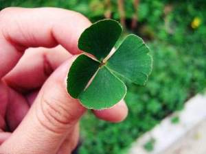 EPR_140729-5-cosas-que-las-personas-exitosas-hacen-y-que-debes-imitar