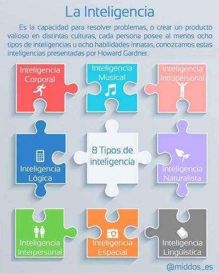 infografia-8-tipos-de-inteligencia