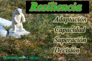 resiliencia (1)