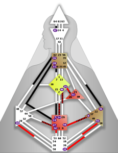 Gustavo Vittek archivo para flyer