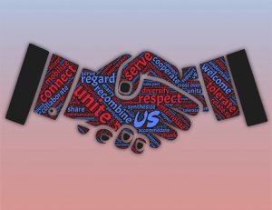 colaborar-o-competir